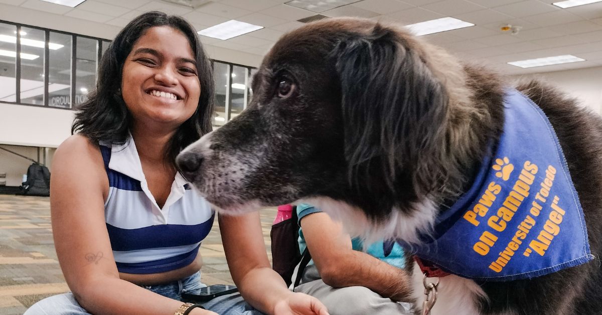 Tamu Paws Furry Friends: Paws on Campus - Juice House