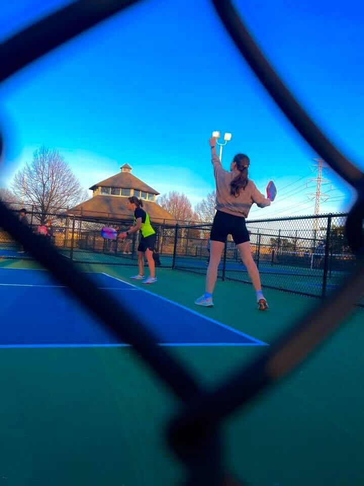 pickle_court_gate