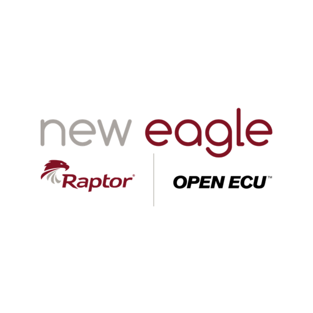 New Eagle_new